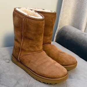 Chestnut Ugg boots